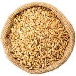 گندم مرغی 30 کیلویی فله