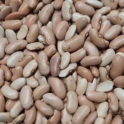 لوبیا کپسولی فله