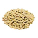 عدس کانادا 50 کیلویی